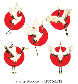 Vector set of illustrations for the bird is the crane. White stork. Isolated object on a white background.