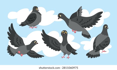 Vector set of illustrations of cartoon pigeon characters in different poses and emotions for creating designs. Gray pigeon, dove, turtledove, chick and domestic bird. Colorful stickers of birds in flight. Wings, beak and feathers. Digital art, motion graphics and comic. All elements isolated.