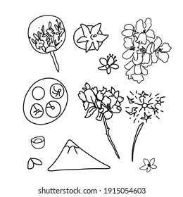Vector set of illustrations for the Chinese New Year.Collection of images with sakura,fan,fireworks,mandarin,mountain,tea,Nian Gao Cakes, persimmon.Design for cards,packaging,social media,posters.
