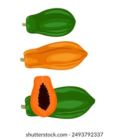 Vector set of illustrations of cut ripe papaya fruit with fresh pulp and black seeds, unripe green papaya