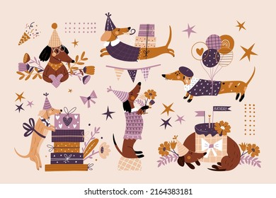 Vector set of illustrations with a dachshund on a white background. Festive illustrations with cute dog, flowers, cake and gift boxes. Vector illustration in vintage style