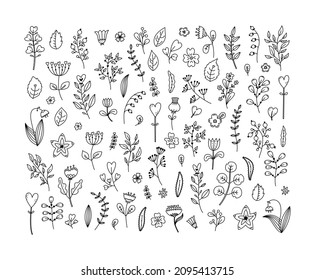 Conjunto vectorial de ilustraciones de plantas de fantasía y flores para San Valentín 