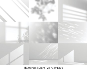 Vector set of illustrations featuring backgrounds with window shadows, glare or tree branches. Sunlight effect. Realistic wallpaper for product presentations or design projects.