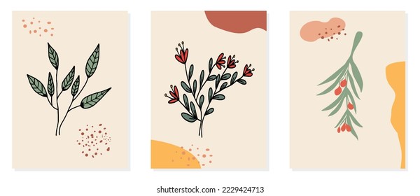A vector set of illustrations of flowers, cherries, quills, in soft and aesthetic colors, isolated in a frame. Seni scandinavian style. Suitable for wallpaper, wall decoration, room, living room decor