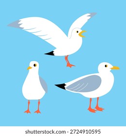 Vector conjunto de ilustraciones con gaviotas divertidas sobre un fondo azul