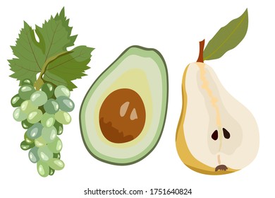 Vector set of illustrations with green grapes, avocado and pear. Design for the design of the menu, recipe, packaging of juice and other products, for printing cards, labels, fabrics
