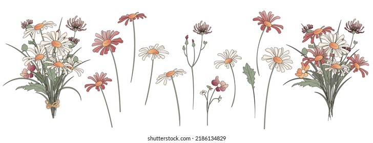 Vector set of illustrations with illustration of bouquets and wildflowers: daisies, thistles. For design of flower shop, decoration of card, poster, banner, fabric, textile, wrapping paper.