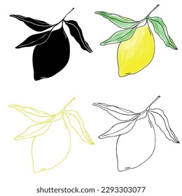 vector set illustrations of lemons and leaves for banners, cards, flyers,surface design