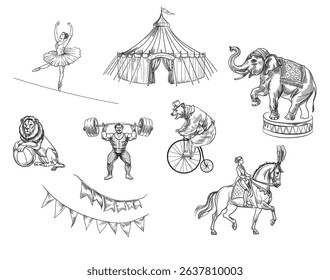 vector set of illustrations on the theme of circus