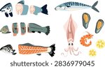 Vector set of illustrations of salmonids and seafood in cross-section