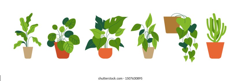 Vector set of illustrations in simple flat style - decorative green houseplants in pots and planters, natural home decor and urban jungle 