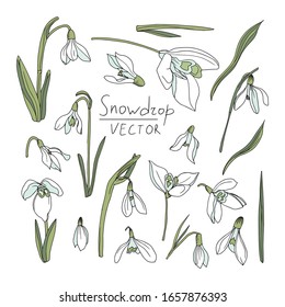 Conjunto vectorial de ilustraciones de nevadas. Dibujado a mano aislado en un fondo blanco al estilo de las caricaturas. Para crear diseños primaverales, colorear libros, libros botánicos, tarjetas de diseño