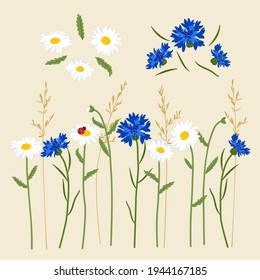 Vector set of illustrations of summer flowers on an isolated background.Beautiful daisies, cornflowers,herbs will be a great card, print, background, sticker, gift packaging element, invitation.