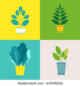 Vector set of illustrations in trendy flat and linear style - green plants in pots - infographics design elements or icons for greeting cards