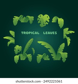 Vector set of illustrations with tropical leaves on a white background.