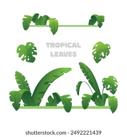 Conjunto de ilustraciones de Vector con hojas tropicales sobre fondo blanco.