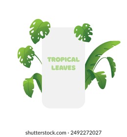 Vector set of illustrations with tropical leaves on a white background.