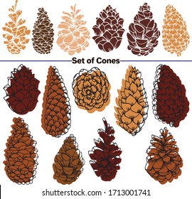 Vector set of images. Vector decorative sketch, illustration. Cones are forest, pine cones