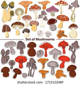 Vector set of images. Vector decorative sketch, illustration. Mushrooms