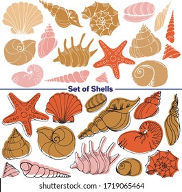 Vector set of images. Vector decorative sketch, illustration. Shells