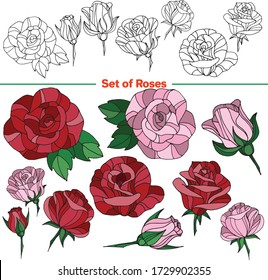 Vektorsatz von Bildern. Vector dekorative Zeichnung, Abbildung. Roses