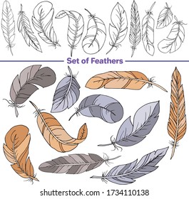 Vector set of images. Vector decorative sketch, illustration. Feathers