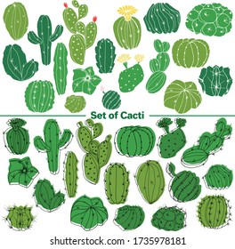 Vector set of images. Vector decorative sketch, illustration.
Cacti