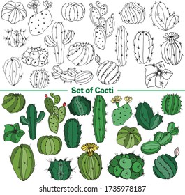 Vector set of images. Vector decorative sketch, illustration.
Cacti