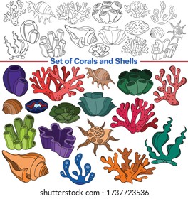 Vector set of images. Vector decorative sketch, illustration.
Seashells and Corals