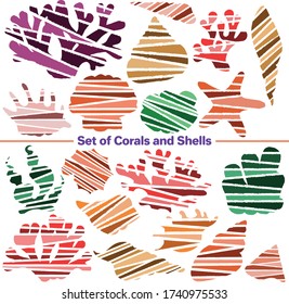 Vector set of images. Vector decorative sketch, illustration. Seashells and Corals
