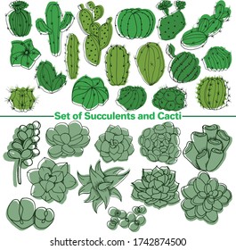 Vector set of images. Vector decorative sketch, illustration. Succulents and Cacti