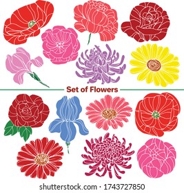 Vector set of images. Vector decorative sketch, illustration. Flowers