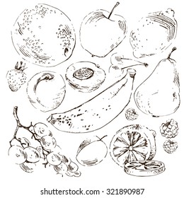 vector set of images of fruits