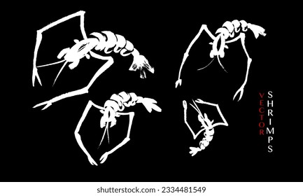 Vector set of images of shrimps of different sizes in oriental style. Calligraphy, ink, brush, sketch. White on black. Chinese, Japanese restaurant, cafe, fish market, menu. Eps10