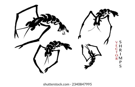 Vector set of images of shrimps of different sizes in traditional oriental style. Calligraphy, ink, brush, sketch, doodle. Black on white. Chinese, Japanese restaurant, cafe, fish market, menu. Eps10