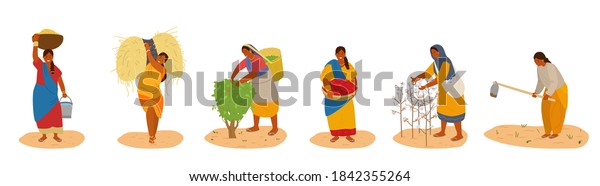 Vector Set Of Indiam Women Working.\
Harvesting Cotton, Chili Pepper, Corn, Wheat, Picking Tea Leaves,\
Plowing. Traditional Agriculture. Isolated On\
White.