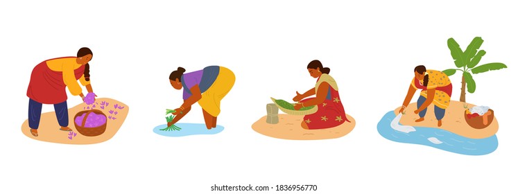 Vector Set Of Indian Women Working. Collecting Saffron, Working In Rice Field, Sorting Herbs, Doing Hand Laundry. Manual Labour. 