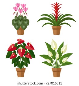 Vector set of indoor blooming flowers in pots. Flat style.