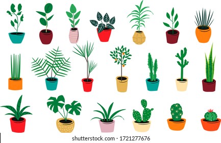 Vector Set Of Indoor Green Plants in Pots. Isolated On White. Hand Drawn Illustration.