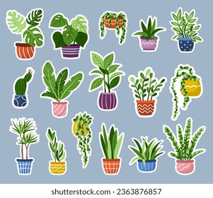 Vector pone plantas de hogar interiores en pegatinas de ollas. Colección de íconos de plantas exóticas dibujados a mano. Ficus, cactus, suculentas, insignias monsteras