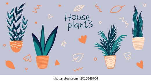Vector Set of indoor houseplants in pots in Scandinavian style. Modern concept interior design elements