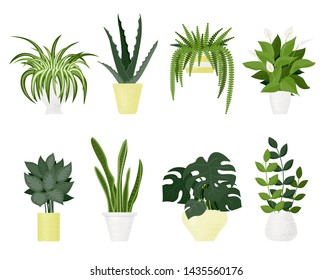 Vector set of indoor plants and flowers in pots. Modern and trendy home decor