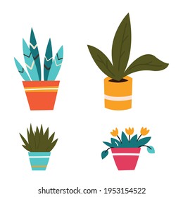 Vector set of indoor plants in pots. Illustration on white background.