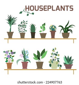 Vector Set of indoor plants in pots. Illustration