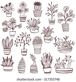 Vector Set of indoor plants in pots. Illustration