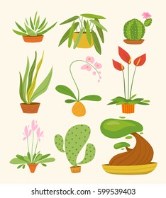 Vector set of indoor plants an pots. Different types of house plants. Flowers and big leaves plants. 