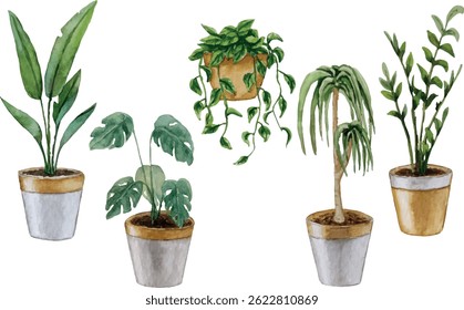 Vector set of indoor plants. Watercolor illustration. White background. For your design