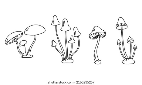Vector set with inedible mushrooms. Outline illustration.