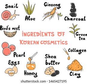 Vector Set Of Ingredients Of Korean Cosmetics. Skin Care Composition. Snail, Collagen, Aloe, Ginseng, Charcoal, Green Tea, Pearl, Bird's Nest, Clay, Honey, Eggs, Shea Butter. Hand Drawn Illustration.