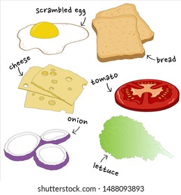Vector set of ingredients for sandwich